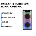 Parlante Harrison Kanji Numa 120w Color Negro