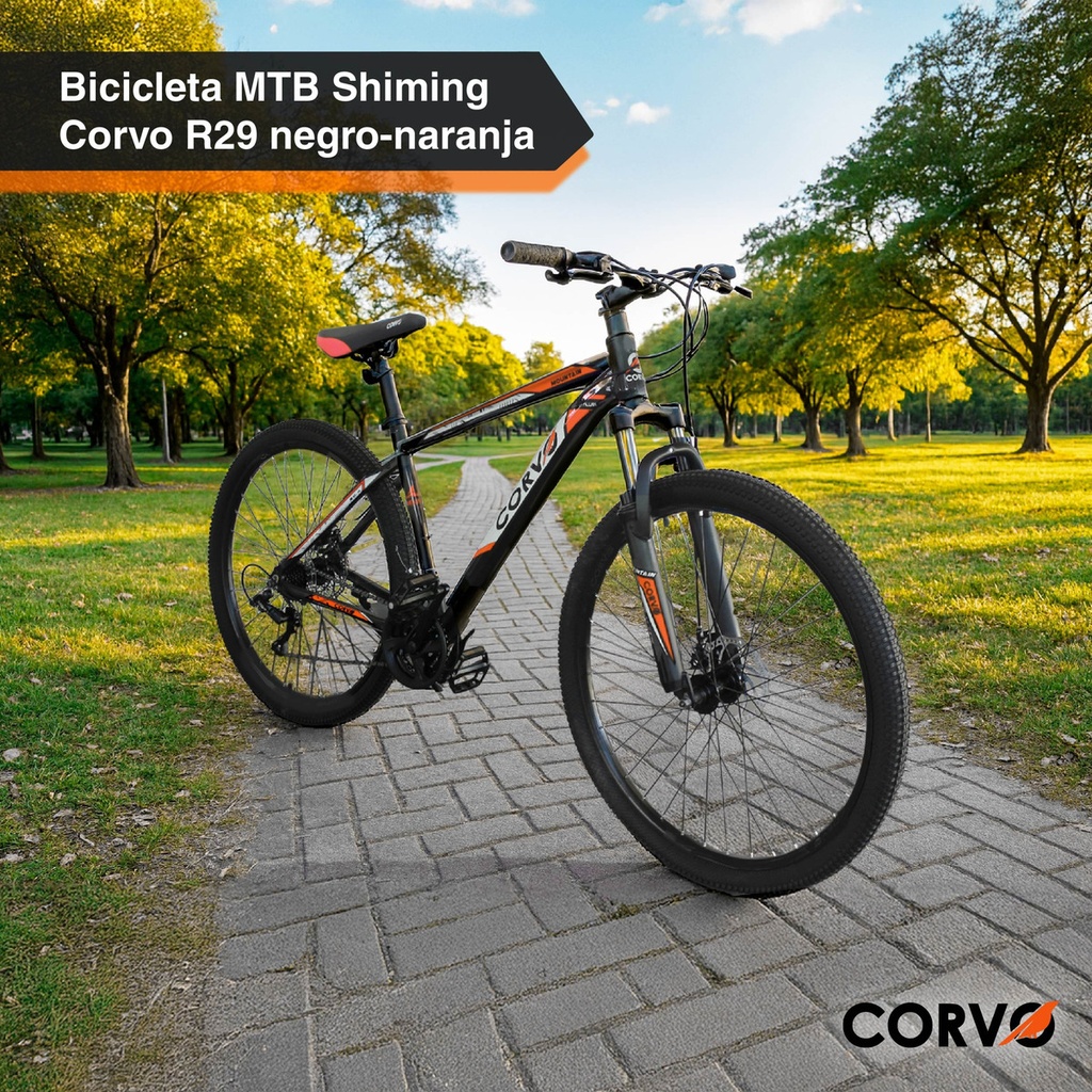 Bicicleta Mtb R29 Corvo 21 V Acero Suspensión Freno A Disco
