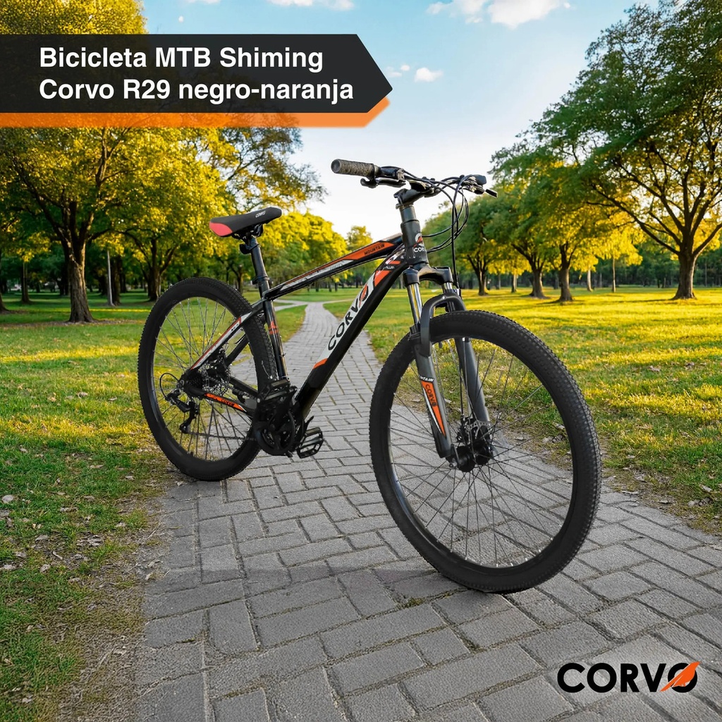 Bicicleta Mtb R29 Corvo 21 V Acero Suspensión Freno A Disco