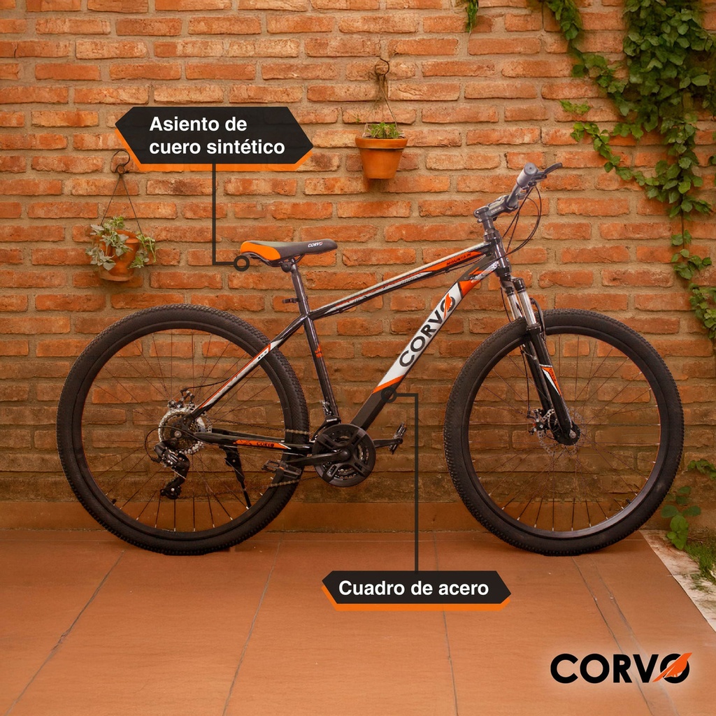 Bicicleta Mtb R29 Corvo 21 V Acero Suspensión Freno A Disco