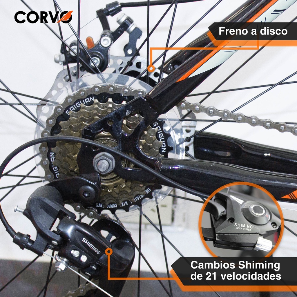 Bicicleta Mtb R29 Corvo 21 V Acero Suspensión Freno A Disco