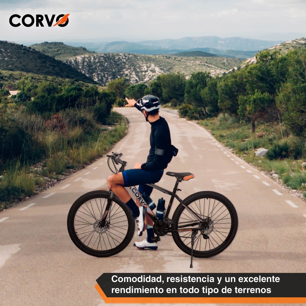 Bicicleta Mtb R29 Corvo 21 V Acero Suspensión Freno A Disco