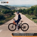 Bicicleta Mtb R29 Corvo 21 V Acero Suspensión Freno A Disco