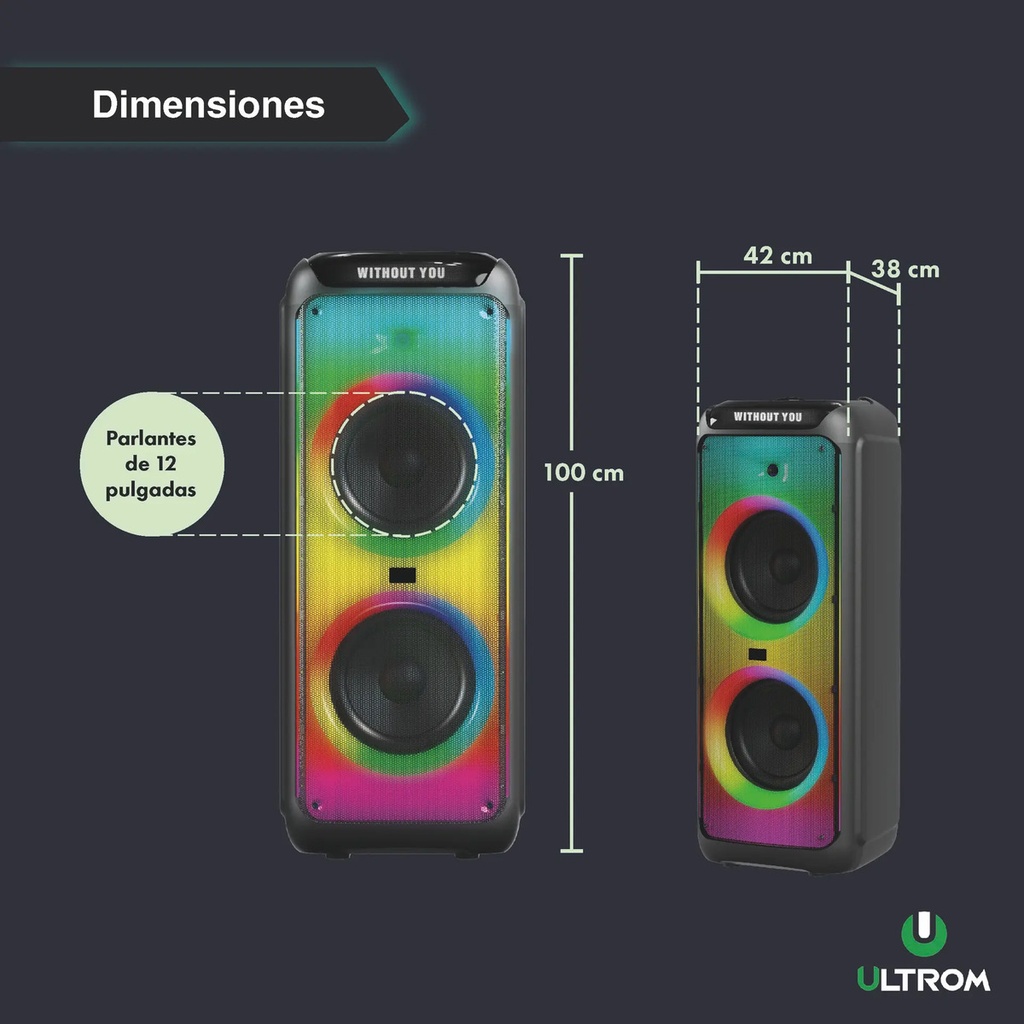 Torre De Sonido Parlante Ultrom Rio 18000w Luces Led 2 X 12  Negro