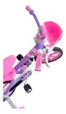 Bicicleta Infantil Reforzada Nathor R12 Rueditas Minnie Rosa