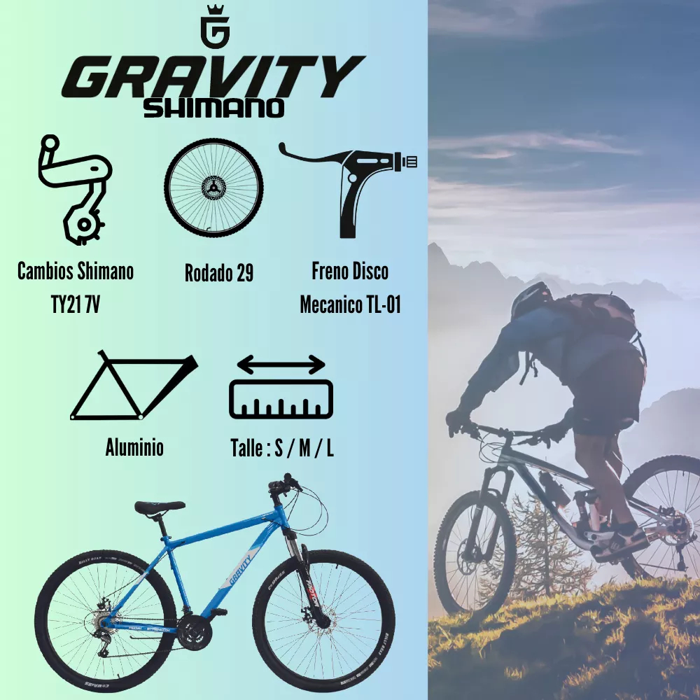 Bicicleta Gravity Mtb R29 Lowrider Talla S Shimano