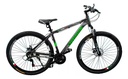 Bicicleta Lamborghini Shimano R29 M47l Gris/verde