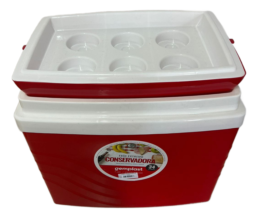 Heladera Conservadora Gemplast  Plástico Playa Camping 34l