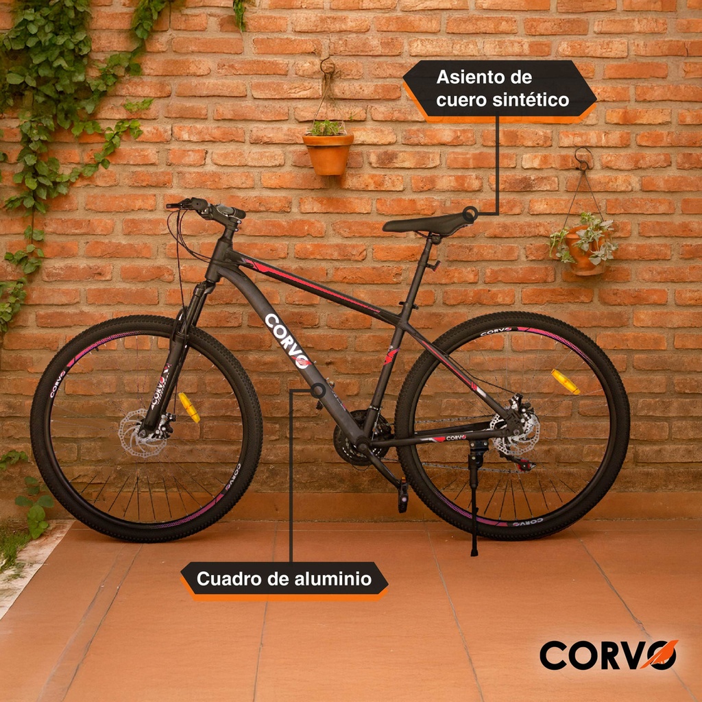 Bicicleta R29 Mountain Bike Aluminio Shimano Corvo