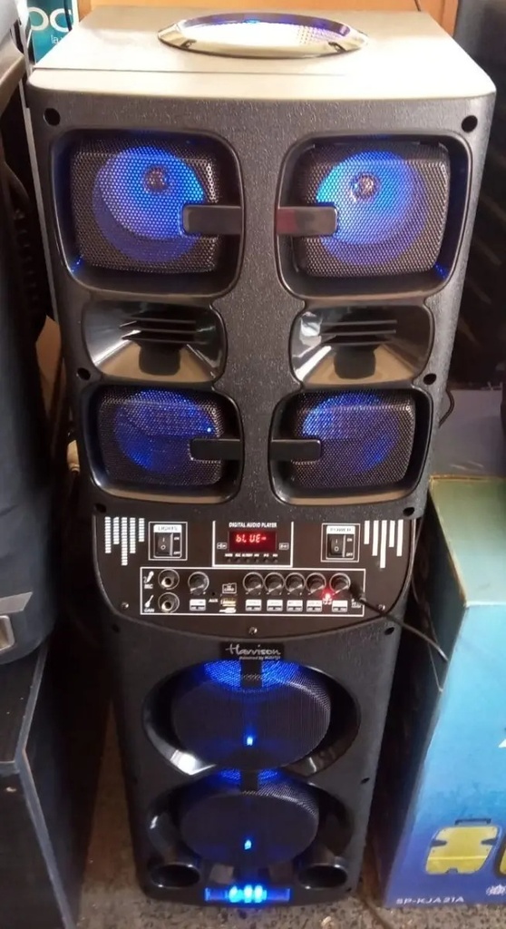 Parlante Portatil Torre Con Microfono Temuki Usb Led 7200w N Negro