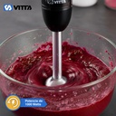 Minipimer Mixer Vitta 800w 2 Vel Acero Inoxidable Negra Negro