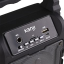 Parlante Bluetooth Portátil Radio Fm Usb Y Sd Kanji Amnesia 