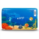Tablet Kanji 9 Pulgadas Ailu Max 16 Gb Quad Android 7