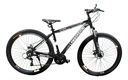 Bicicleta Mtb Lamborghini Spettro Rod 29 21 Vel Discos Negro