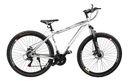 Mountain Bike Lamborghini 217138 R29 M Cambios Shimano Ty300
